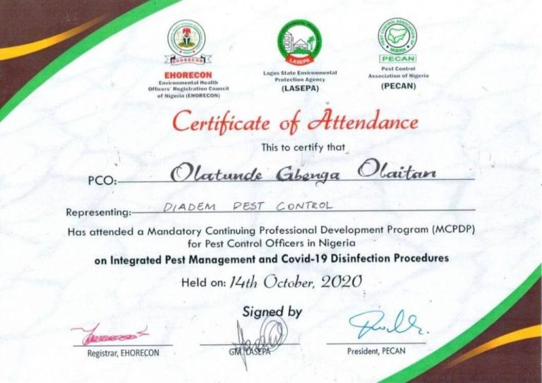 mcpdp certificate - diadem international