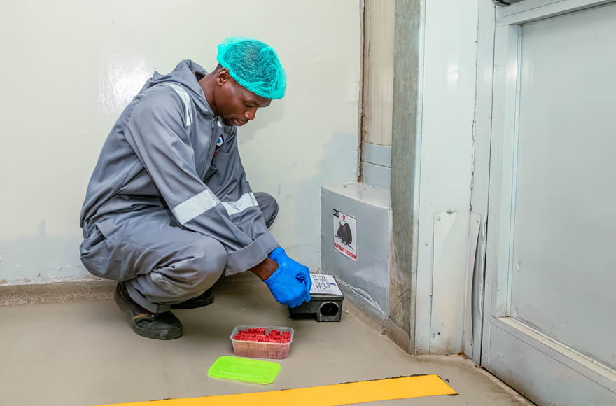 building-maintenanace-essential-service